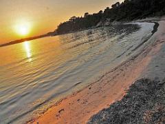 183 D25 BORMES LES MIMOSAS 3_000022